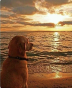 Screen Shot 2022-08-05 at 6.23.30 PM.png