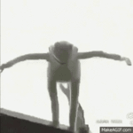 kermit-falling (1).gif