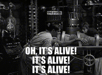 ca85b19c-7bd6-44c1-ac0a-c01bd0e6cb45_text.gif ca85b19c-7bd6-44c1-ac0a-c01bd0e6cb45_text.gif