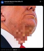 Gavin Newsom For the children and public decency..jpeg