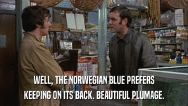 k0dV28Va075n.gif k0dV28Va075n.gif