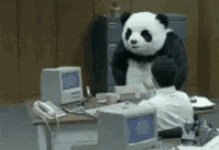 angry-angry-panda.gif