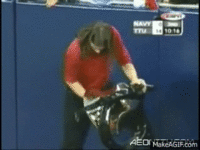 IMG_0650.gif IMG_0650.gif