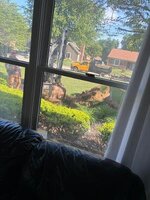 IMG_5485.jpeg