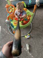 IMG_2768.jpeg