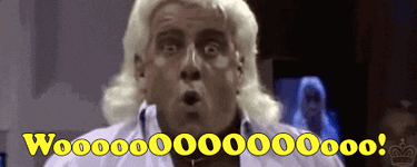 6081.gif