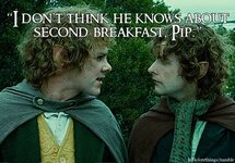 IMG_0483.jpeg