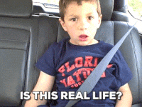 33413.gif 33413.gif