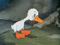 1784037476927.gif
