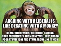 Arguing with a liberal.jpg