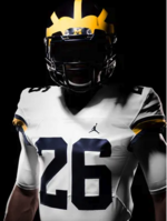 Screen Shot 2023-02-28 at 2.58.51 PM.png