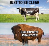 High capacity assault cow.jpg