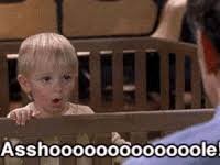 1686006315533.jpeg 1686006315533.jpeg