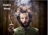 wired.jpg