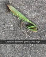 FB_IMG_1710614358040.jpg FB_IMG_1710614358040.jpg