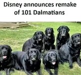 101 Dalmations remake.jpg