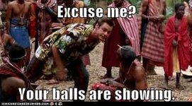 1722110207865.jpeg 1722110207865.jpeg