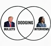 Dodging Interviews.jpg