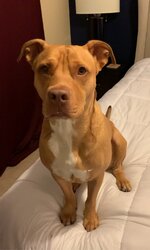 View recent photos.jpeg