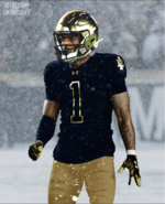 ND Midnight Gold.png