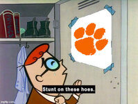 clemson stunt.jpg
