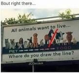 0 01JH8J68TDC28JFXY1Y6Q3YZ86.jpeg