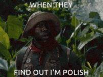 kevin-hart-polish.gif