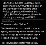 Oligarchy In Action.jpeg