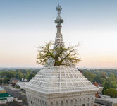 IMG_9687.jpeg IMG_9687.jpeg