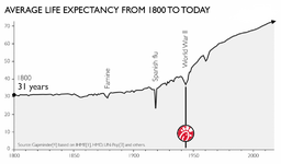 lex1-1024x602 copy.png